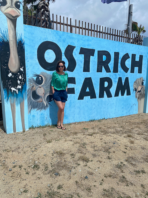 Ostrich Farm Aruba woman traveling 